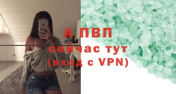 ешки Снежногорск