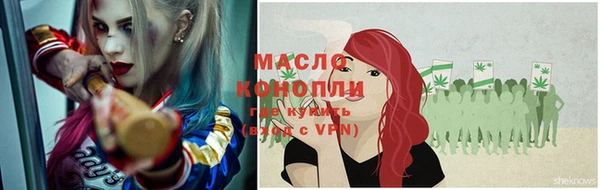 ешки Снежногорск